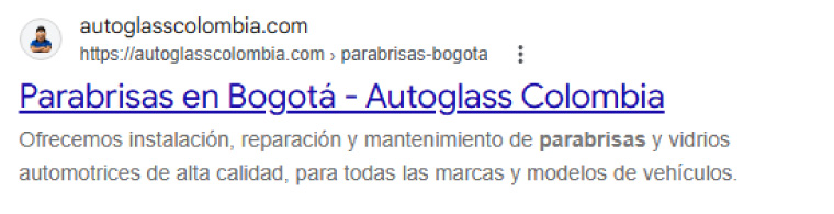 Resultado SEO en Google