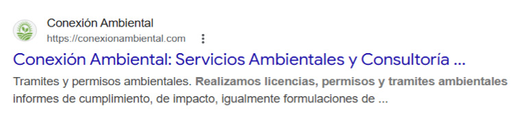Resultado SEO en Google